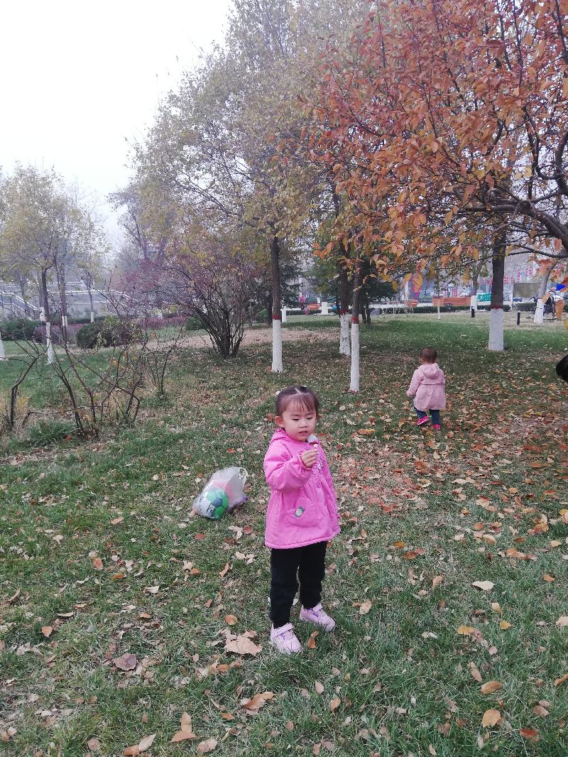 IMG_20191123_105753_1