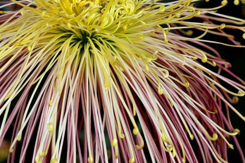 mmexport1573831751426