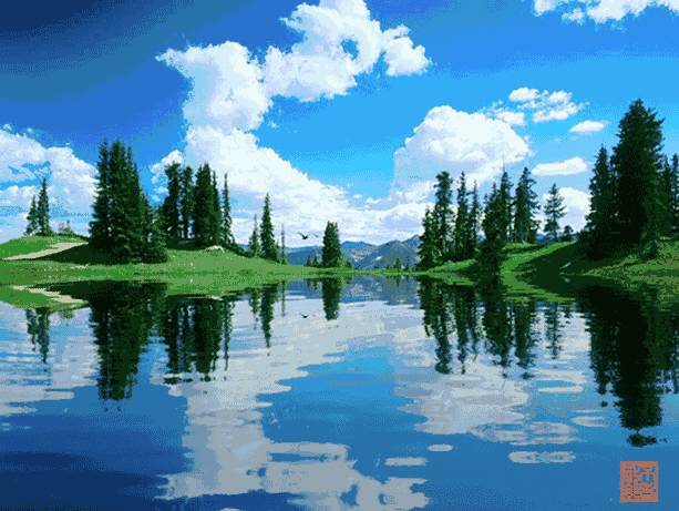 mmexport1573881983839