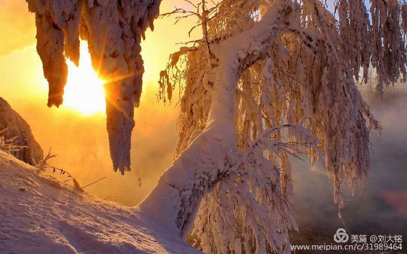 fd49cb34ce99465c9ebef43de5a19c0f