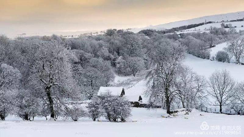 d199a0d5d69a444494aeb11339dc9c81