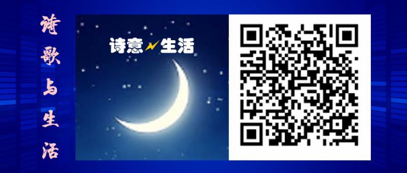 mmexport1574077112449