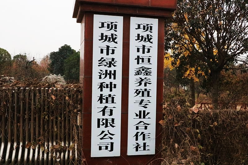 mmexport1574946851635_mh1574947239325