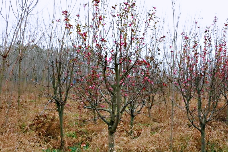 mmexport1574946907832_mh1574947038862