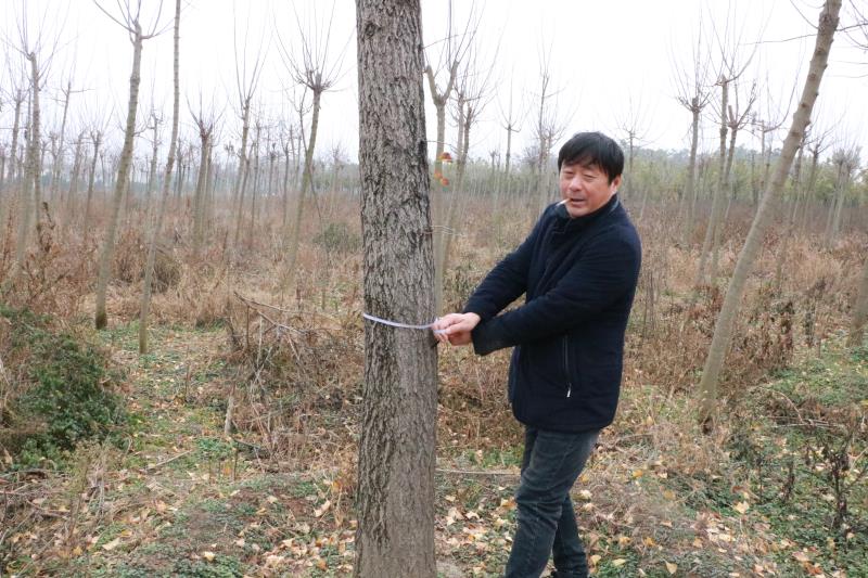 mmexport1574950420377