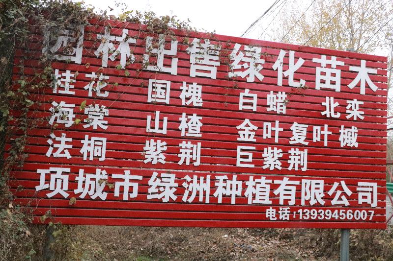 mmexport1574952173558