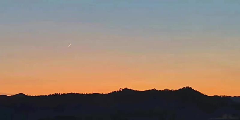 mmexport1575457427994