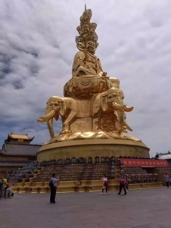 mmexport1575457435880