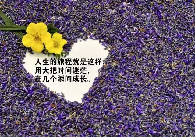 mmexport1571026259324.webp