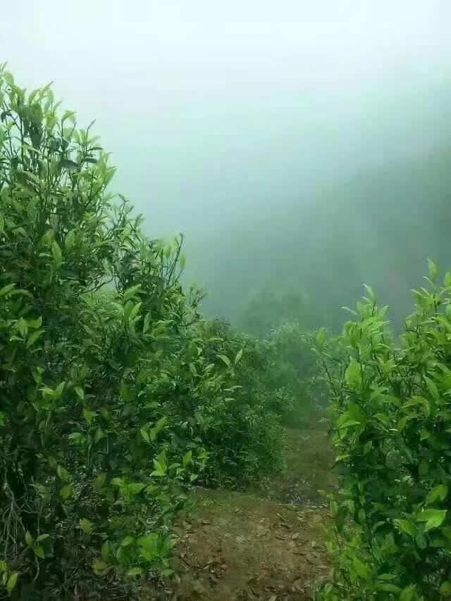 mmexport1575008985525