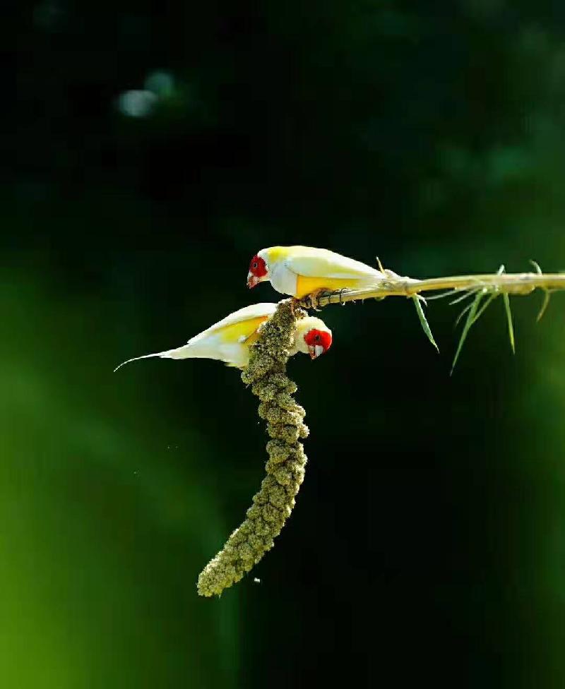 mmexport1573607309182