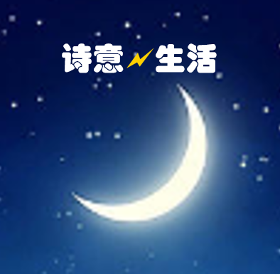 mmexport1573777150051