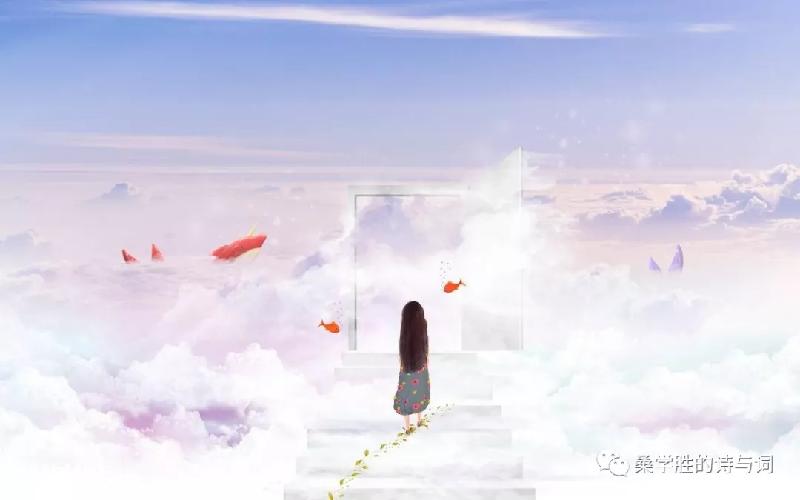 mmexport1576231202691