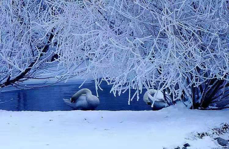 mmexport1576121752001