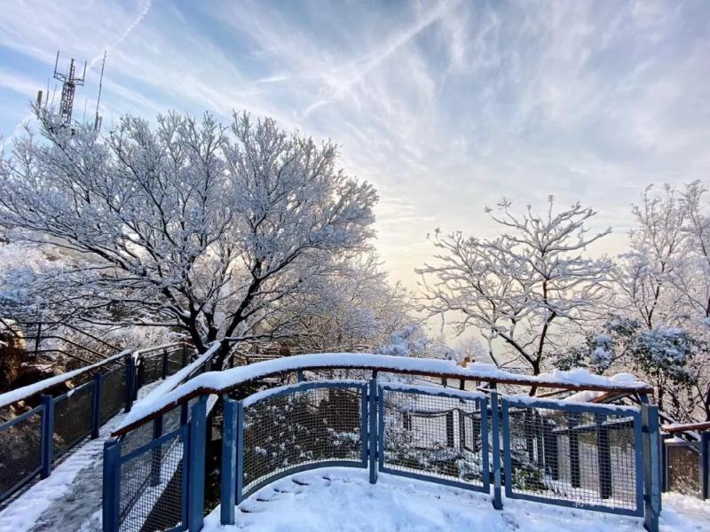 mmexport1576727995331