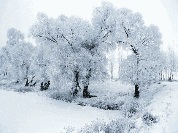 mmexport1577325058644