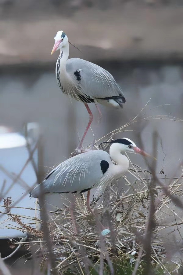 mmexport1577373214587