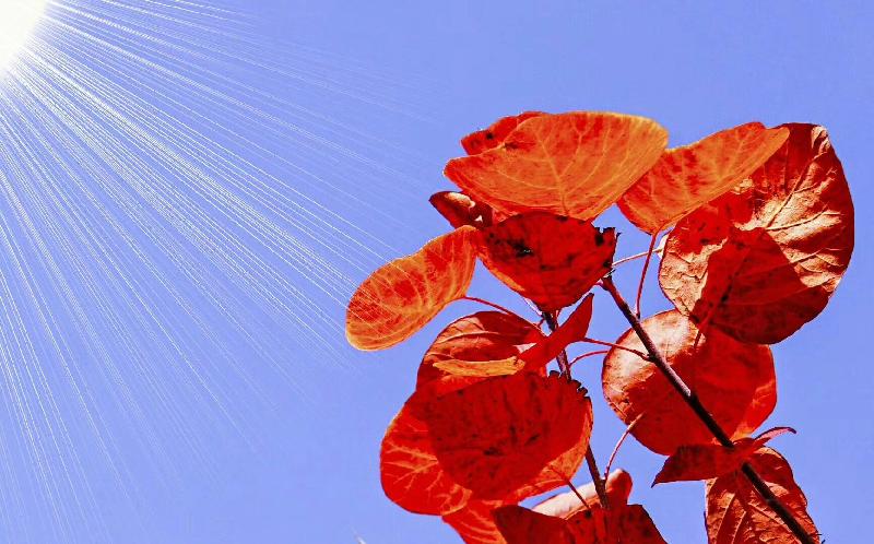 mmexport1572362160781