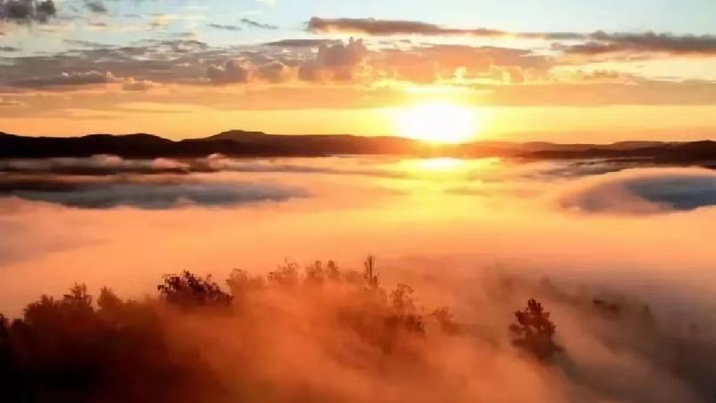 mmexport1575561348307