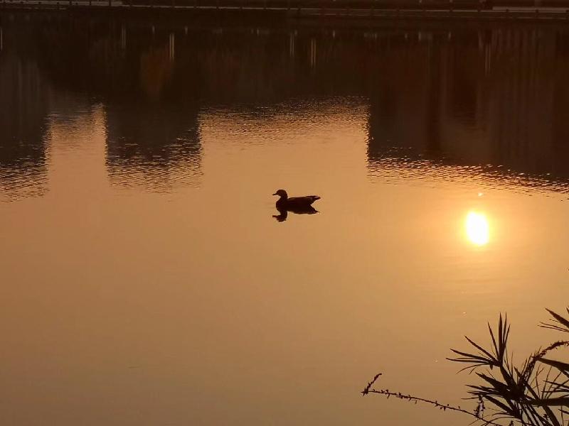 mmexport1576821169840