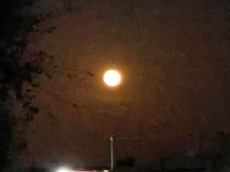 mmexport1576204835794