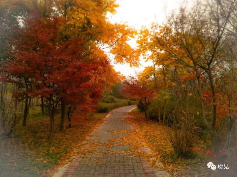 mmexport1575532742754