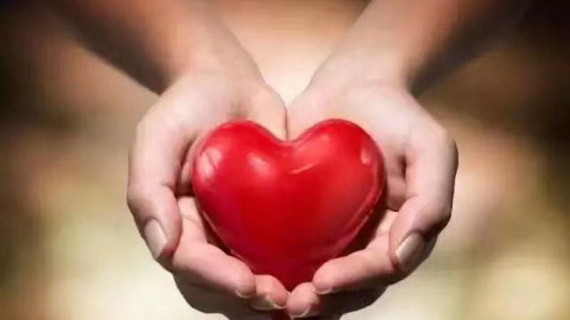 c8088736-b722-423b-818e-e0f22b252bd6