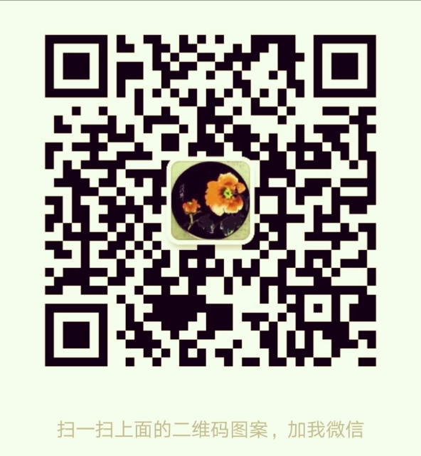 1554698518931