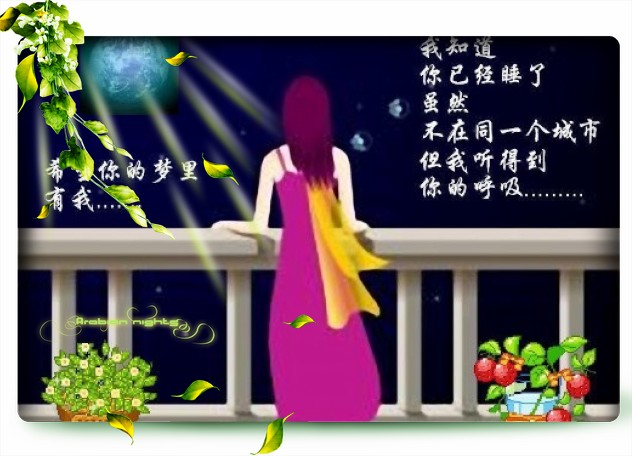 亲爱的,是你吗 我知道你不会将我忘记 我一直在静静地等你 我把思念折