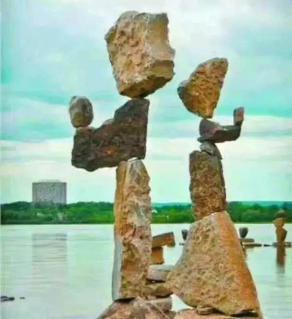 mmexport1577968521550