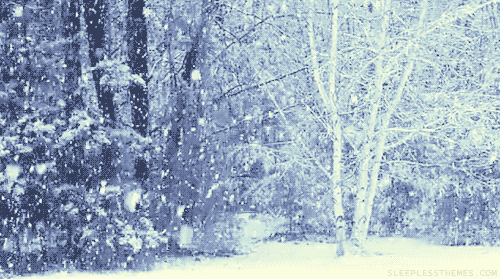 冬天鹅毛大雪动态图片图片