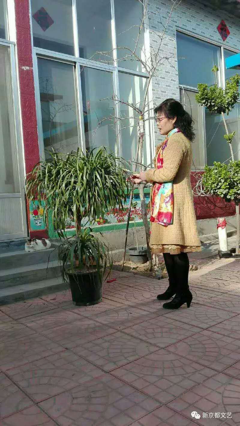 mmexport1578191392650