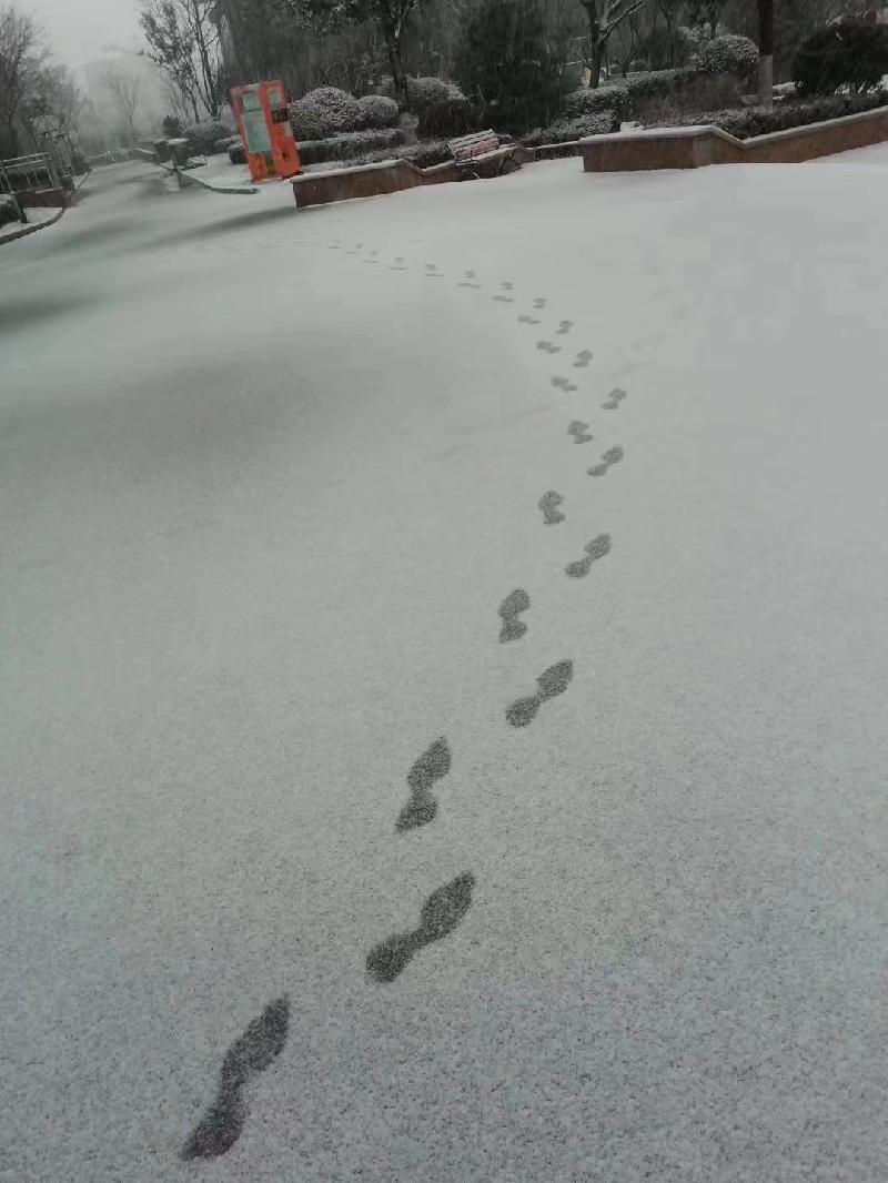 mmexport1578395477073