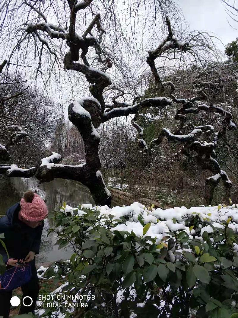 mmexport1578393981318