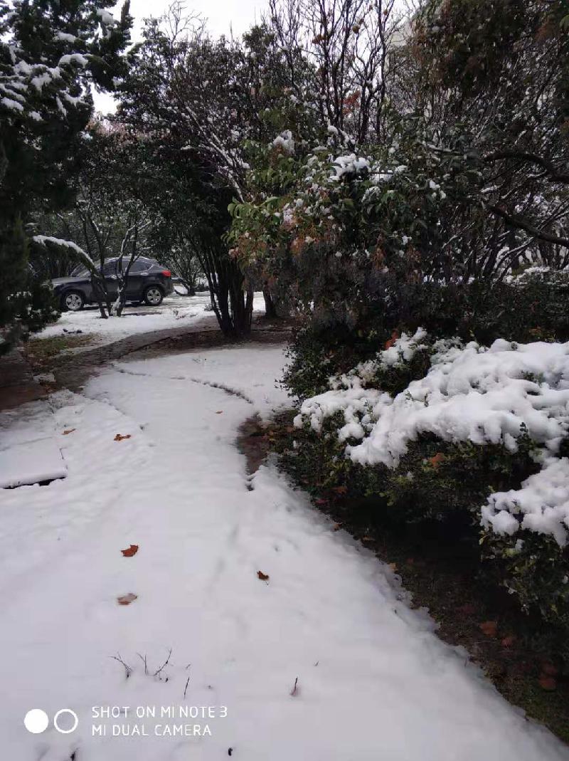 mmexport1578394010305