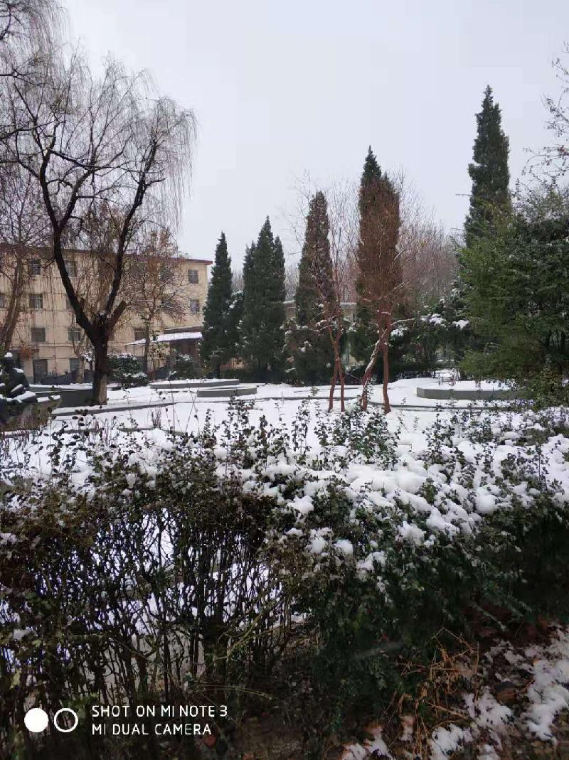 mmexport1578394018622