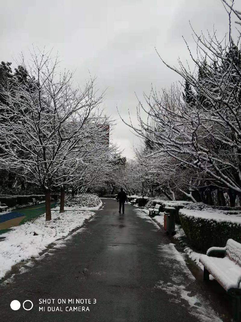 mmexport1578394075997