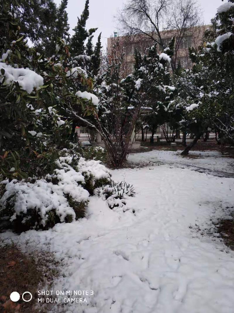 mmexport1578394055535