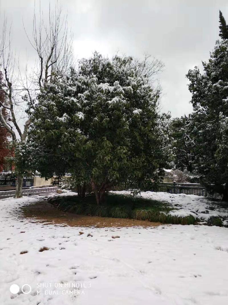 mmexport1578394081887