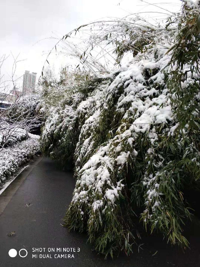 mmexport1578394101973