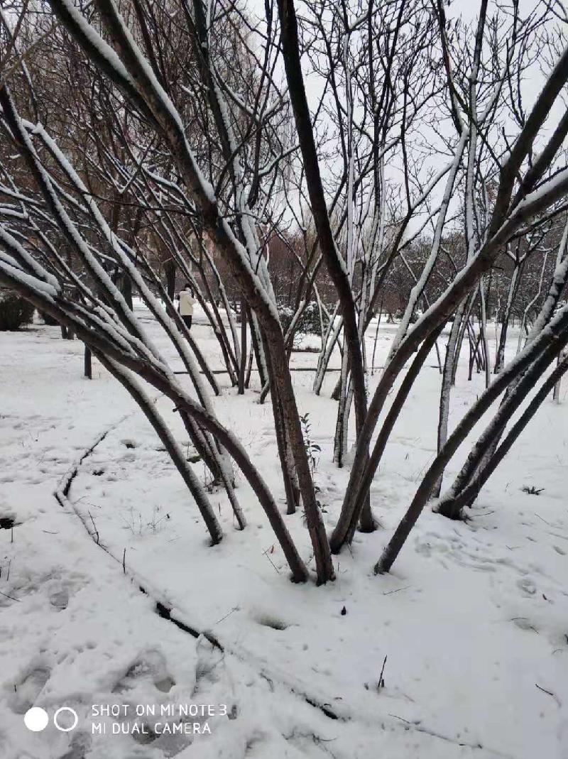 mmexport1578394023717