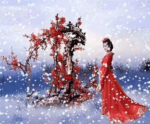 mmexport1578658654758