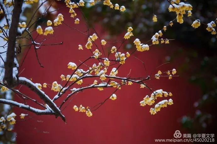 mmexport1578608834092