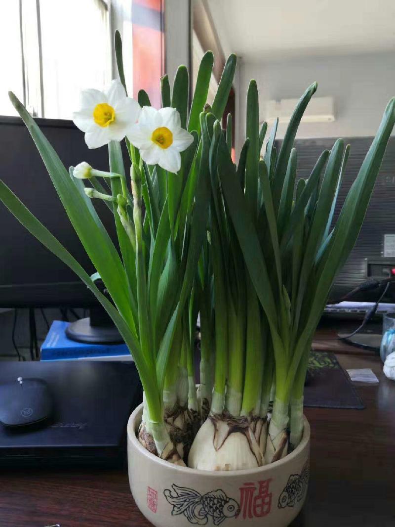 mmexport1578658723144