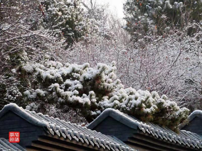 mmexport1578658668437