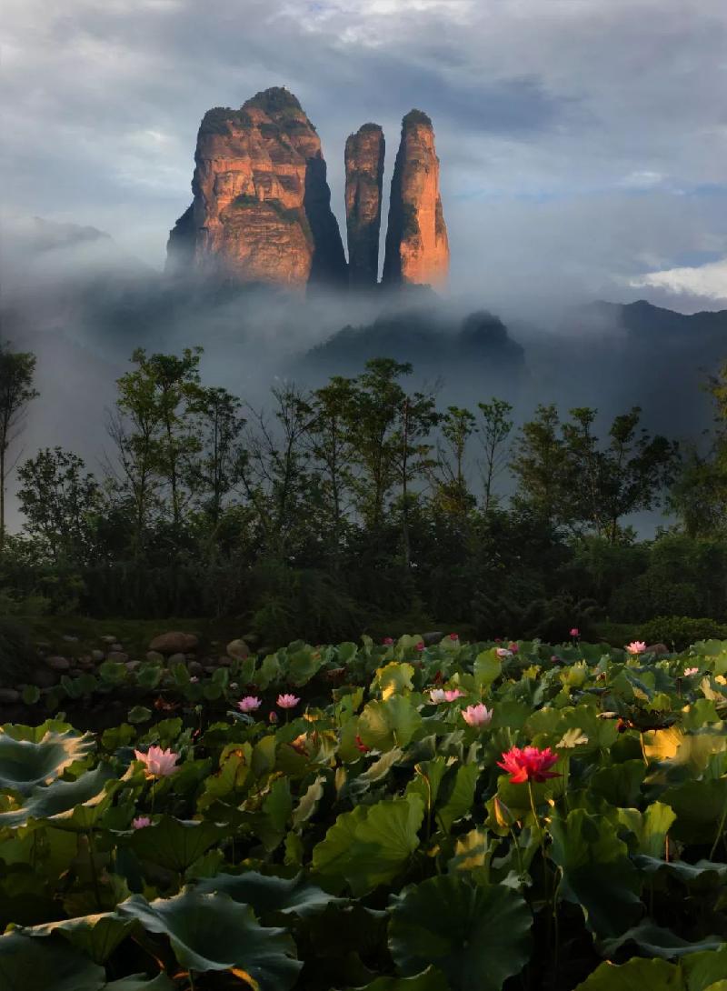 mmexport1578218702378