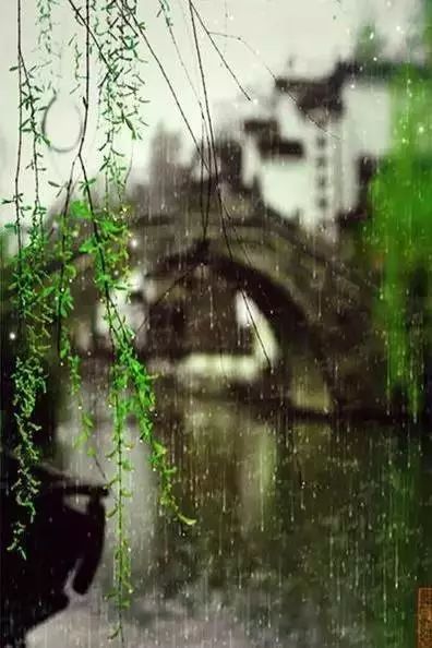 D1EA66ED30EBF593B0EF3A00F4119BEF651365E0_size45_w396_h594