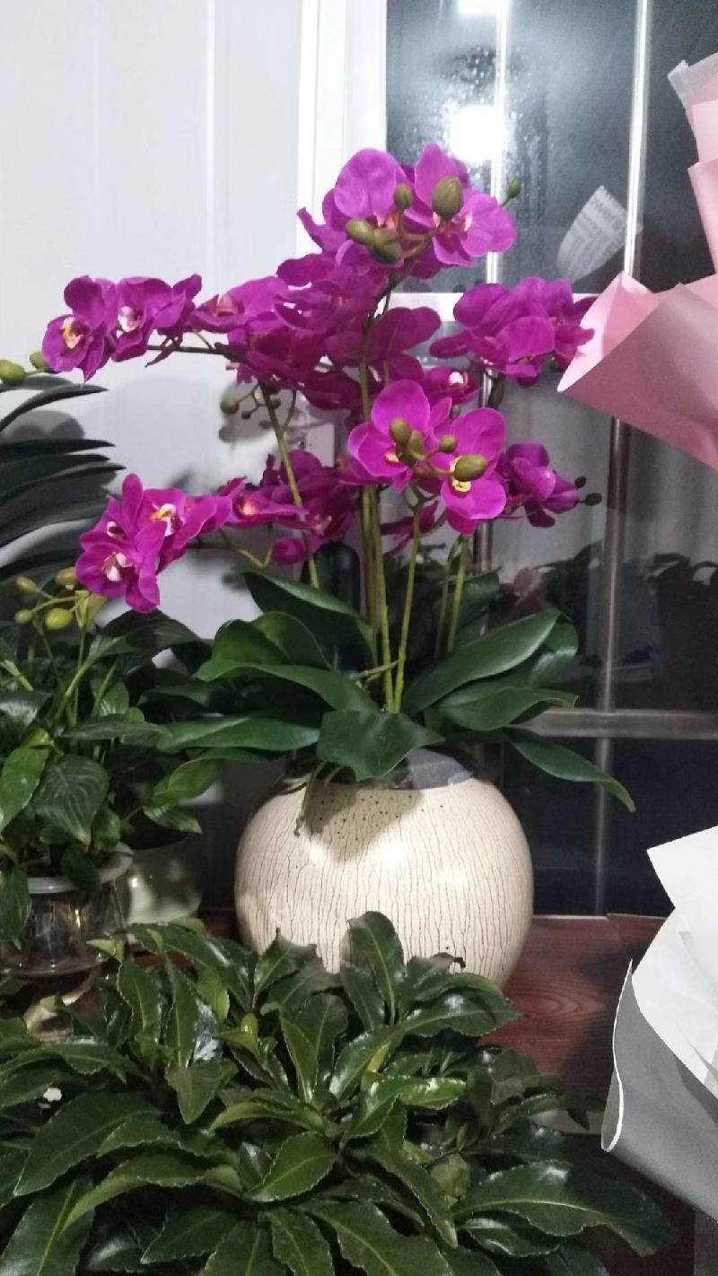 mmexport1578218837228