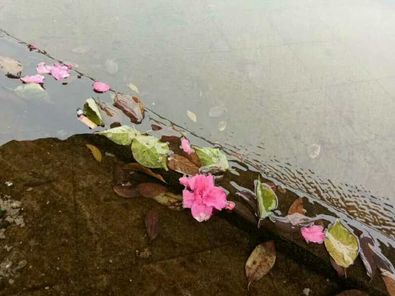 mmexport1577957827015