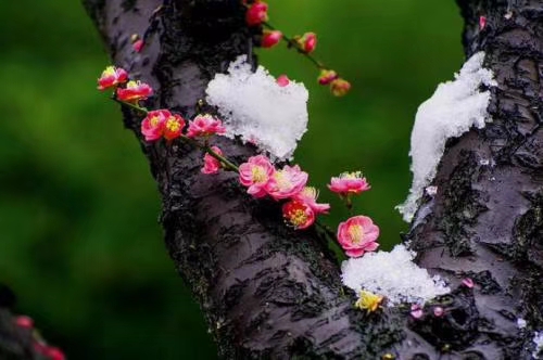 mmexport1578572489736